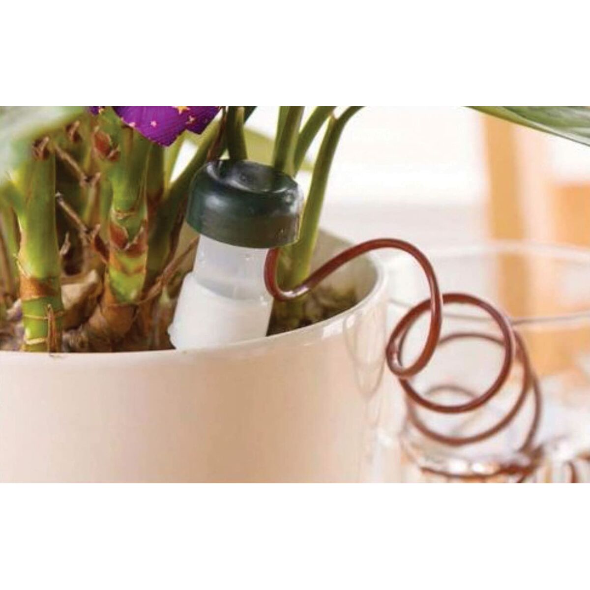 Automatisk drypp vanningssystem for plantepotter Aqua Control
